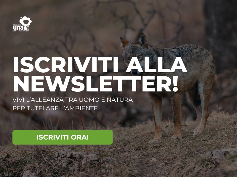 Iscriviti alla newsletter